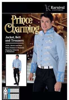 View Party Costume Adult Prince Charming Large