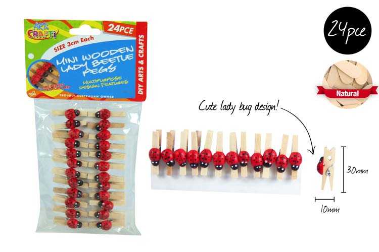 View Craft Wood Pegs With Lady Bettle 24pk