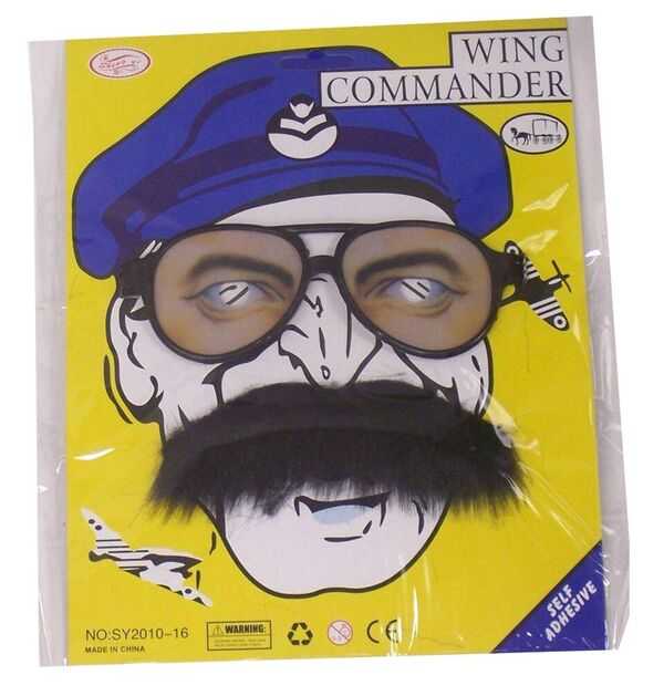 View Wing Commander Dressup Glasses and Moustache